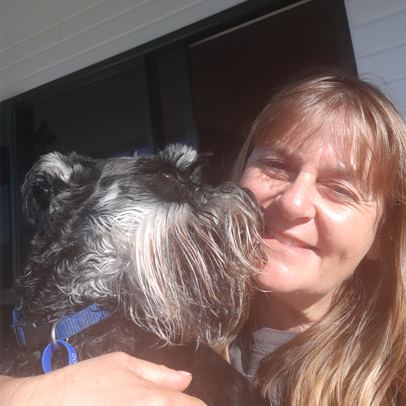About Us Elite Pet Transport Dedicated Personal Pet Transport